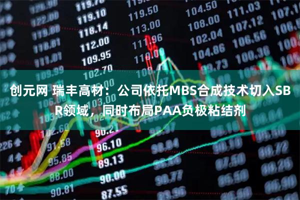 创元网 瑞丰高材：公司依托MBS合成技术切入SBR领域，同时布局PAA负极粘结剂